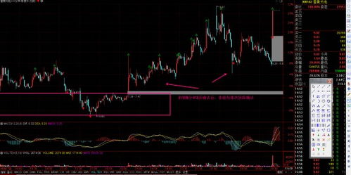 雷曼光電 深耕LED顯示領(lǐng)域，COB技術(shù)引領(lǐng)光電科技新浪潮
